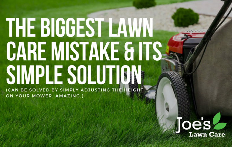 The Biggest Lawn Care Mistake & Its Simple Solution - Joe's Lawn Care