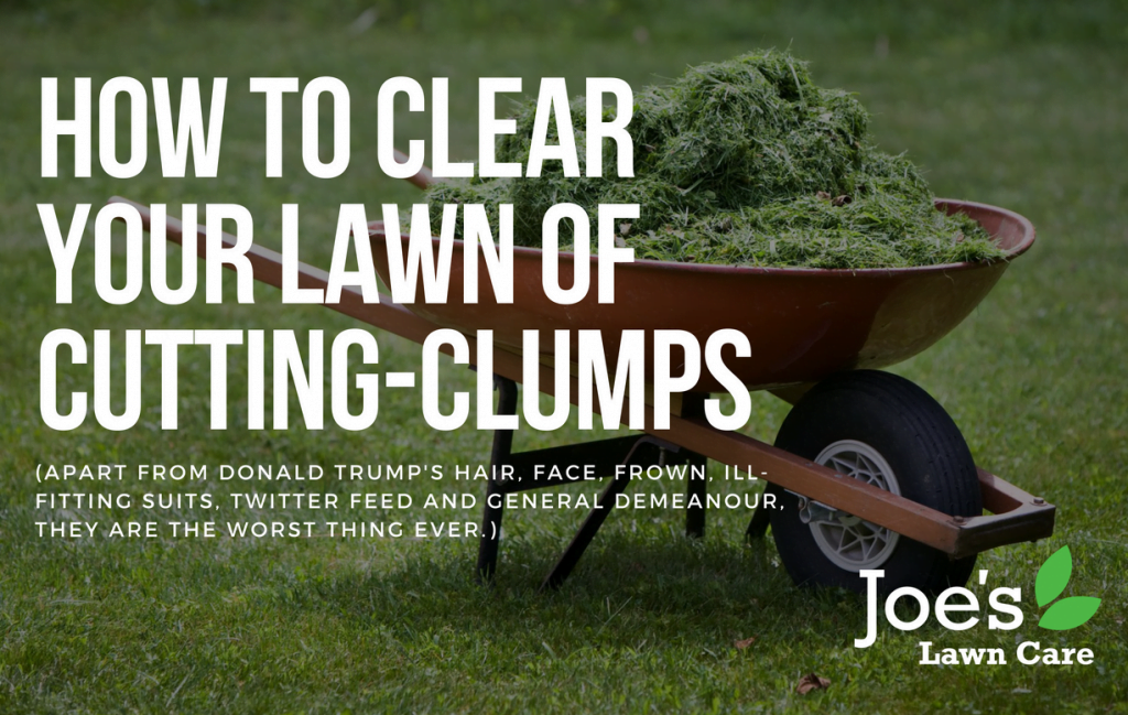 How To Clear Your Lawn of Cutting-Clumps - Joe's Lawn Care