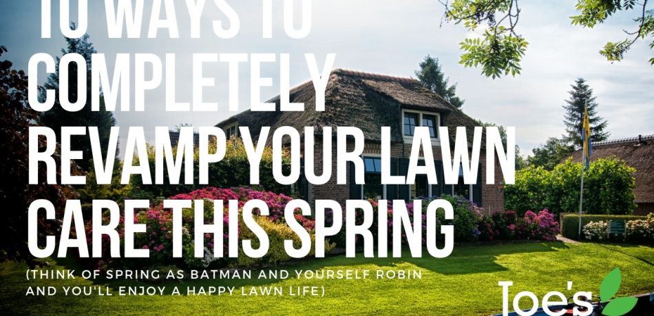 10 Ways To Completely Revamp Your Lawn Care This Spring