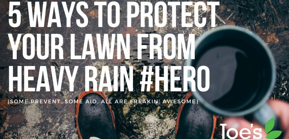 5 ways to protect your lawn from heavy rain