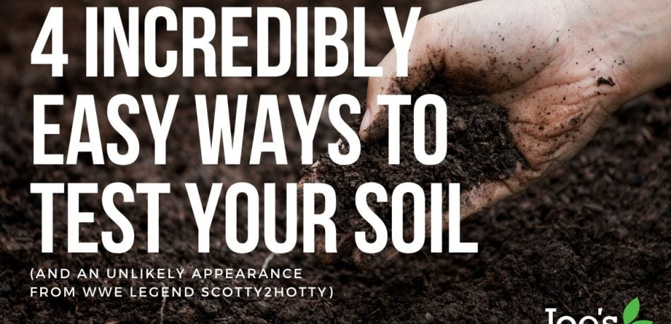 4 incredibly easy ways to test your soil