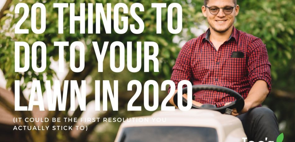 20 things to do to your lawn in 2020