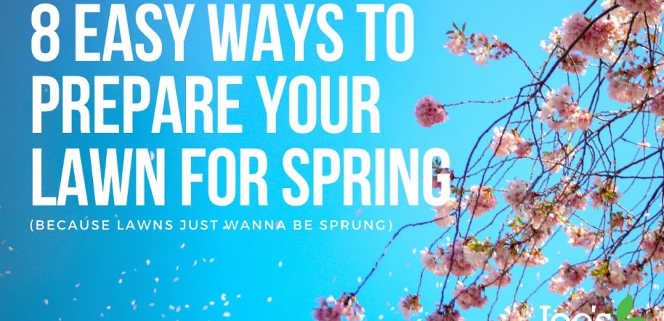 8 ways to prepare your lawn for spring