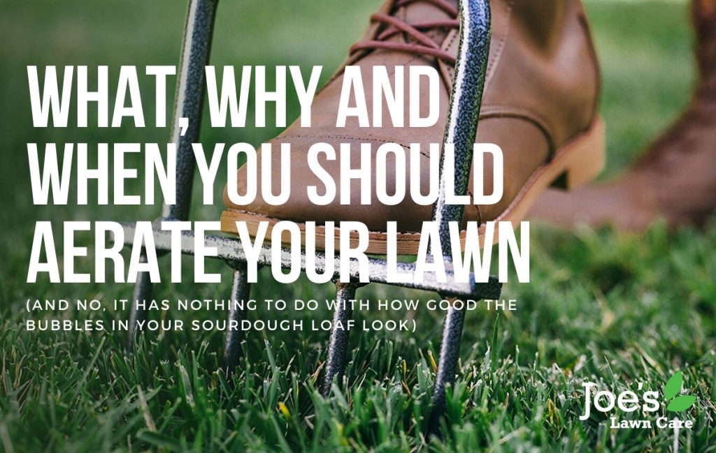 What, Why & When You Should Aerate Your Lawn - Joe's Lawn Care