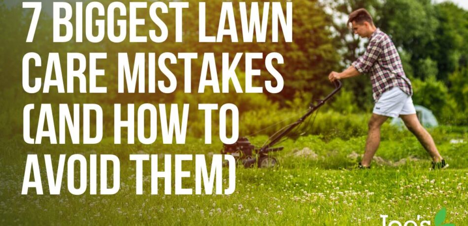 Biggest lawn mistakes and how to avoid them