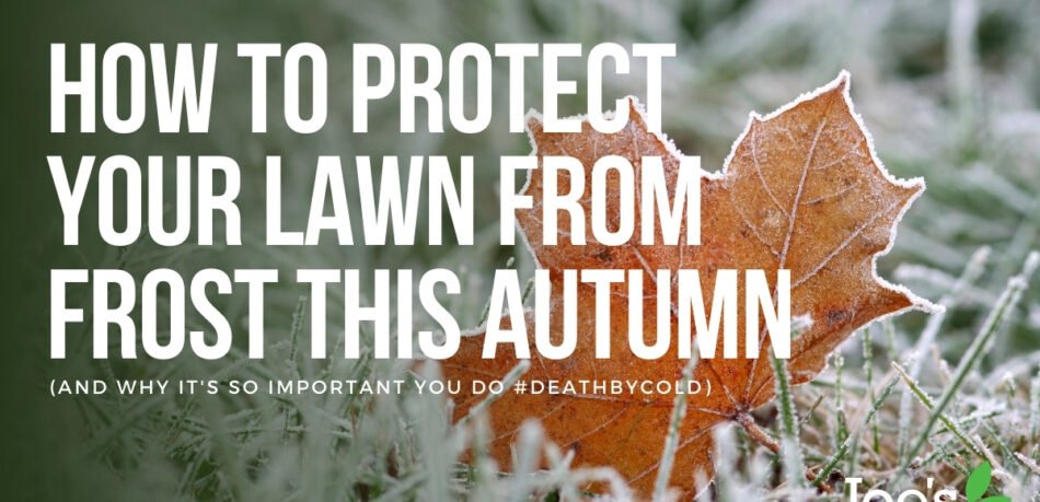 protect your lawn from frost this autumn