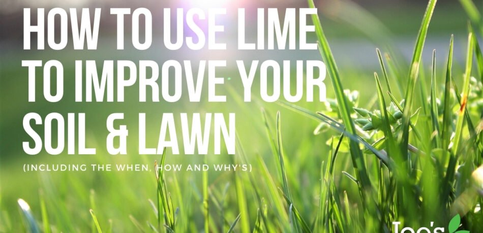 use lime to improve your soil