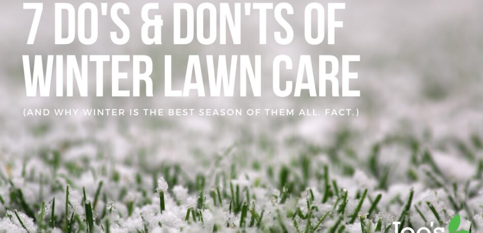 7 do's and don'ts of winter care