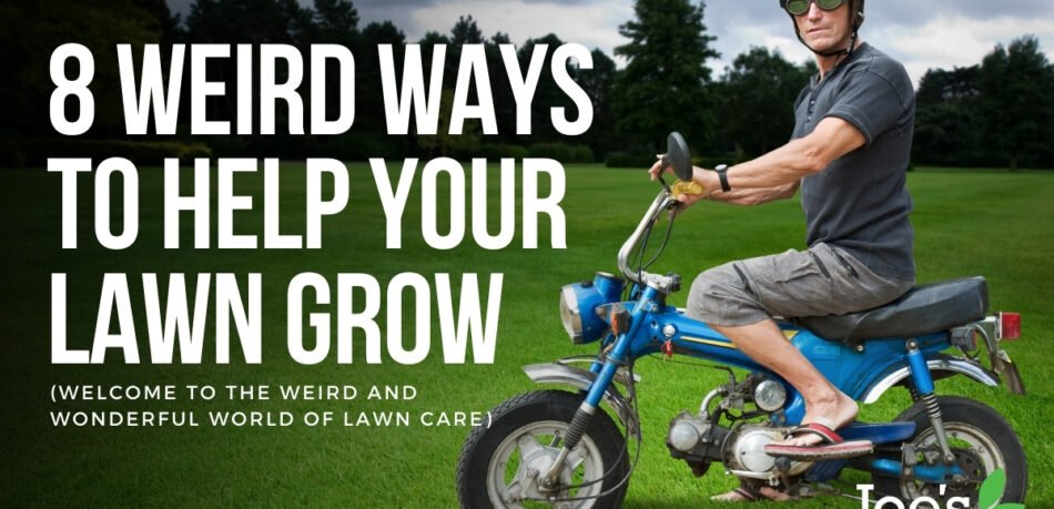 8 weird ways to help your lawn grow