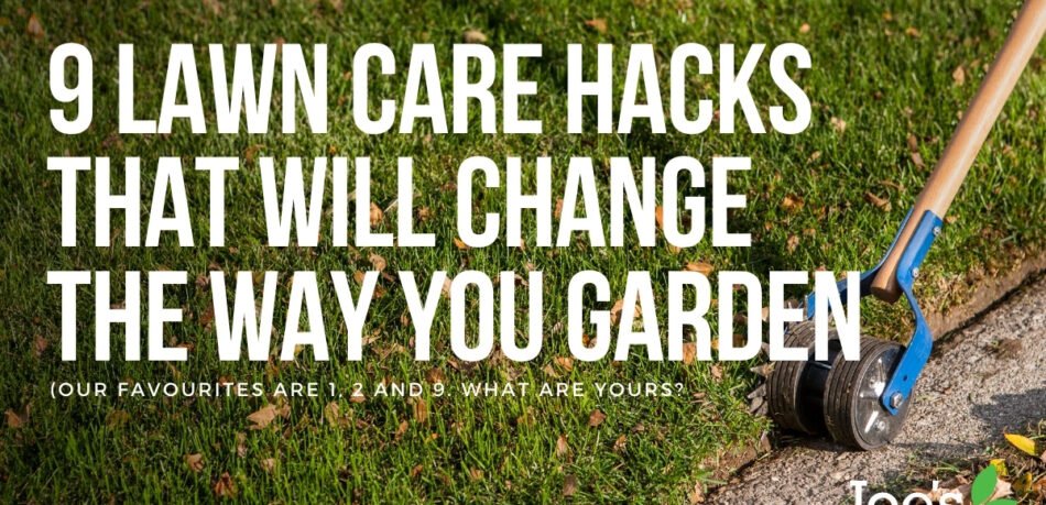 9 Lawn Care hacks that will change the way you garden - Joe's Lawn Care