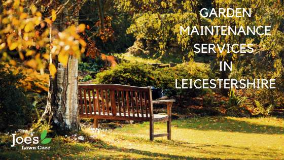 Garden Maintenance Services in Leicestershire