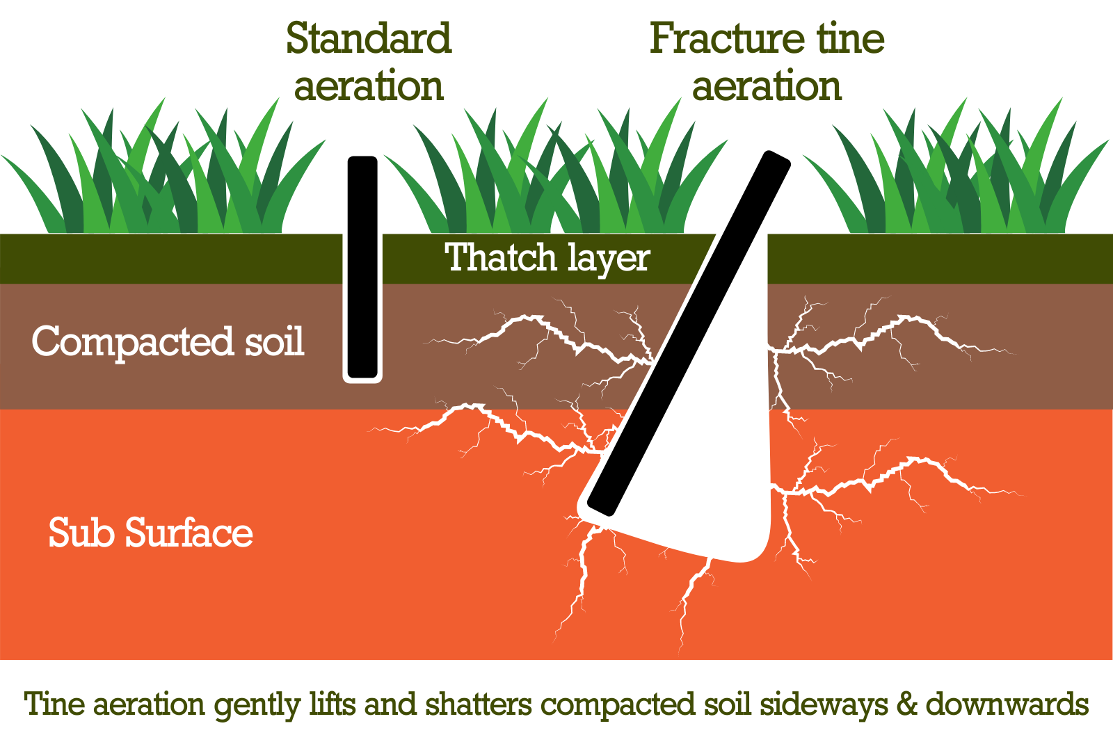 Aerating and online thatching