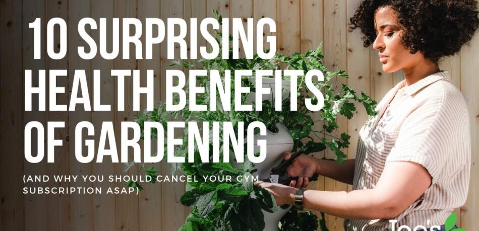 Benefits to gardening