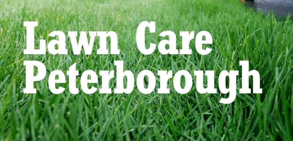 Lawn Care Peterborough