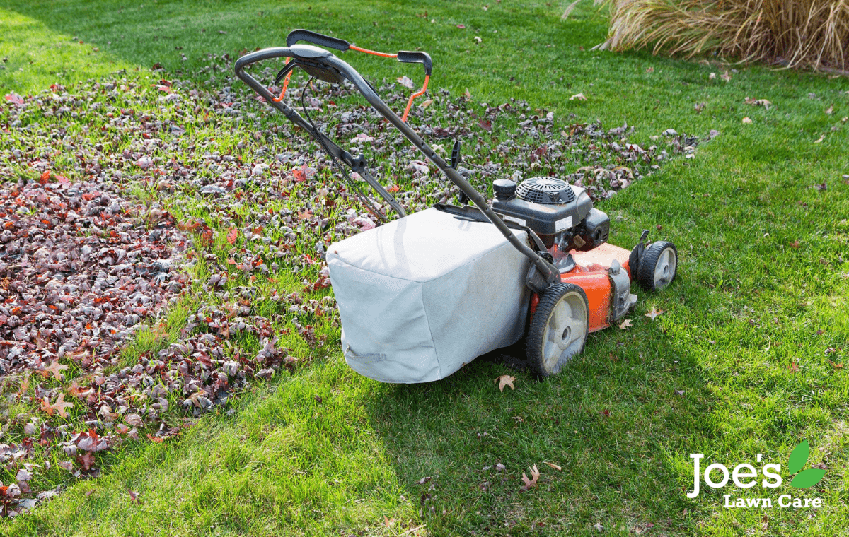 The Benefits Of Mulching Leaves Into Your Lawn In Autumn Joes Lawn Care