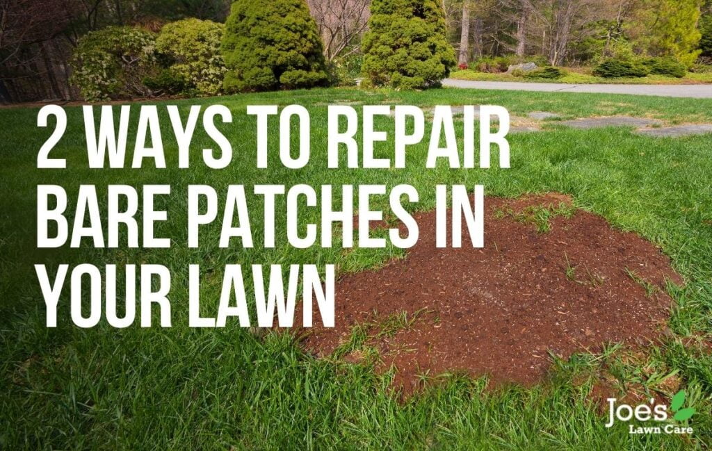 2 Ways To Repair Bare Patches In Your Lawn Joe S Lawn Care