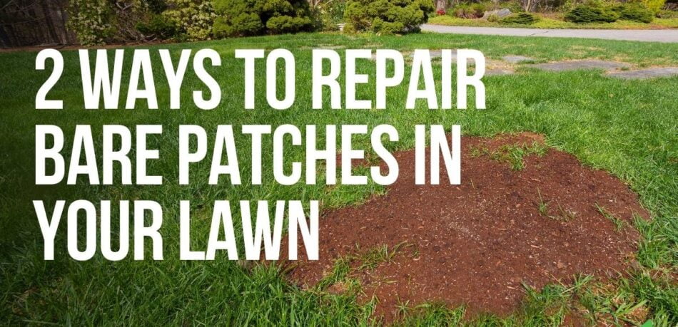 2 Ways To Repair Bare Patches in Your Lawn