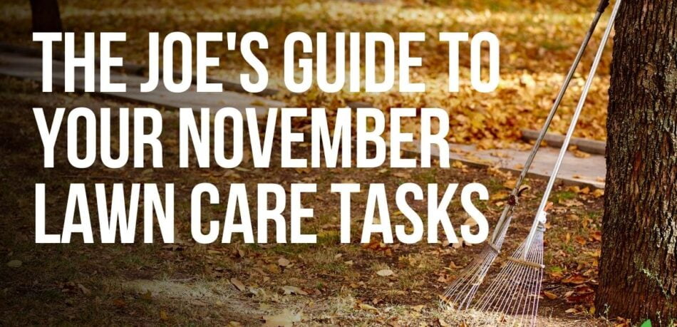 November tasks