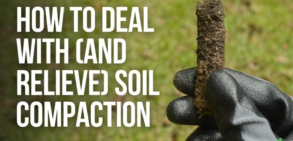 How To Deal With (And Relieve) Soil Compaction