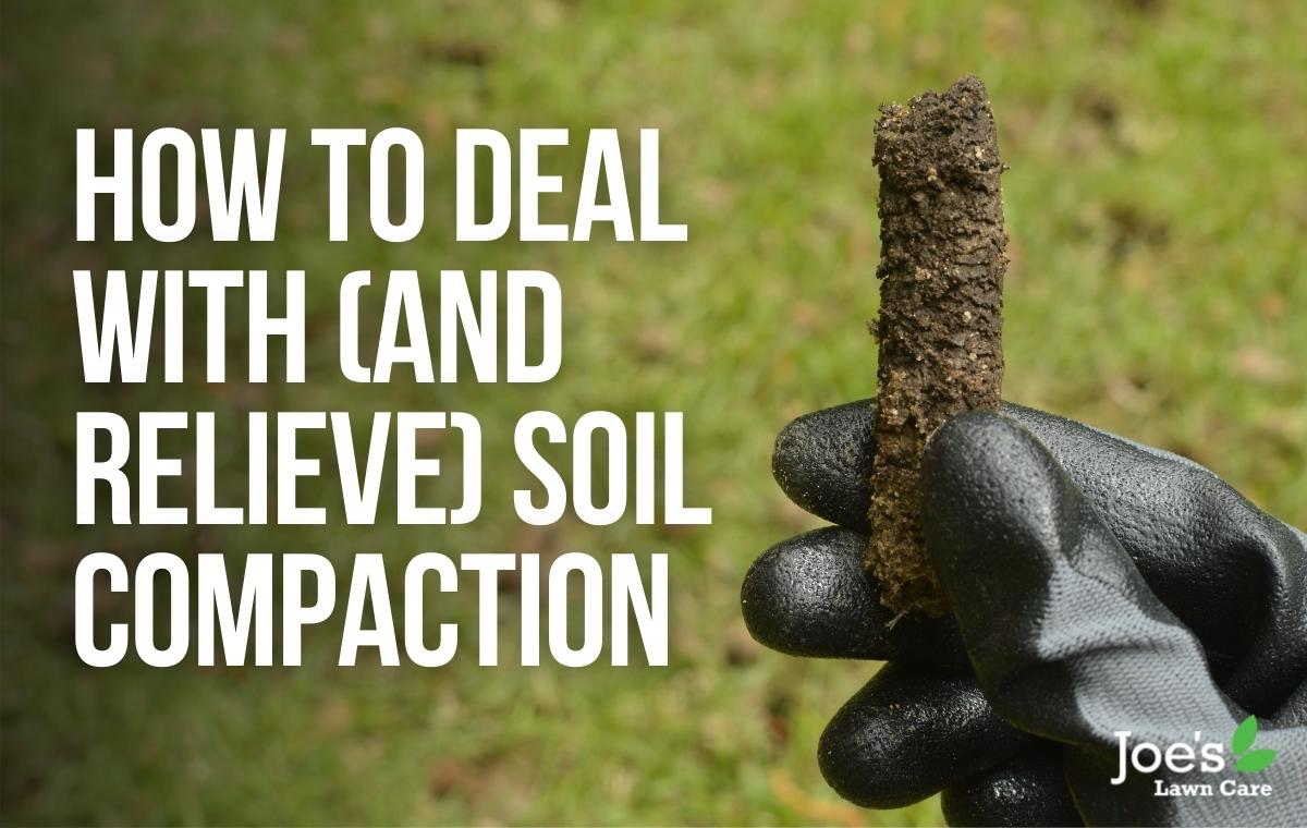 How To Deal With (And Relieve) Soil Compaction