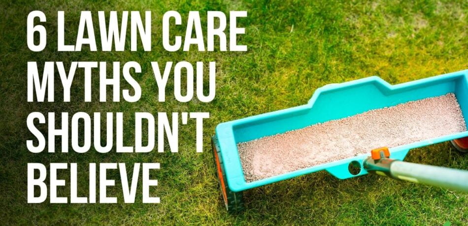 lawn care myths busted