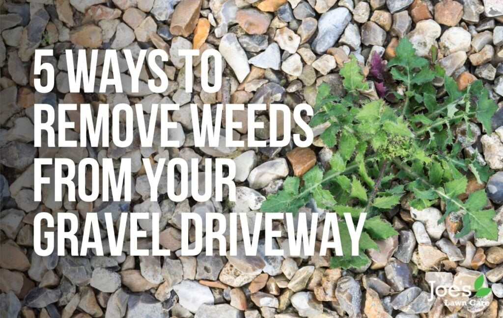 5 Ways To Remove Weeds From Your Gravel Driveway Joe's Lawn Care