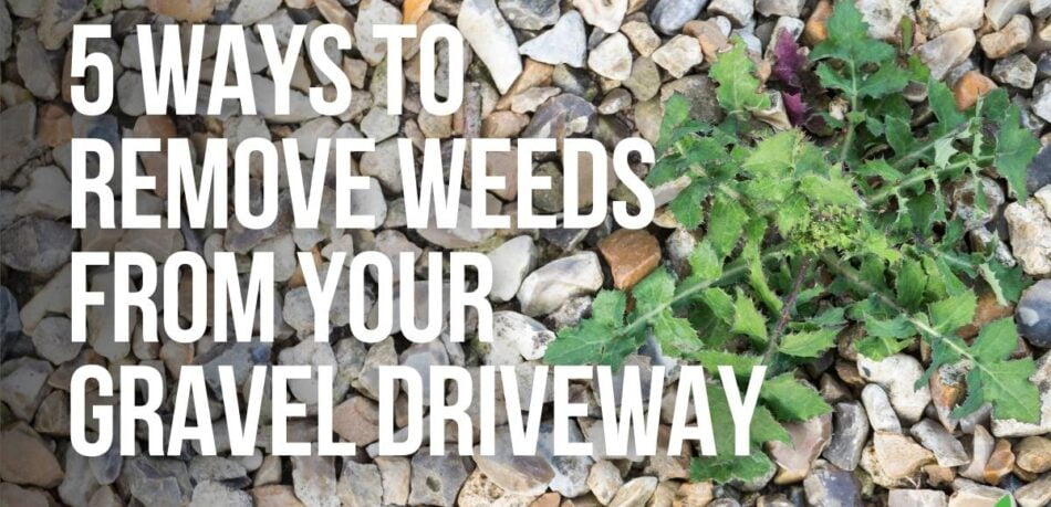 5 ways to remove weeds from your gravel driveway