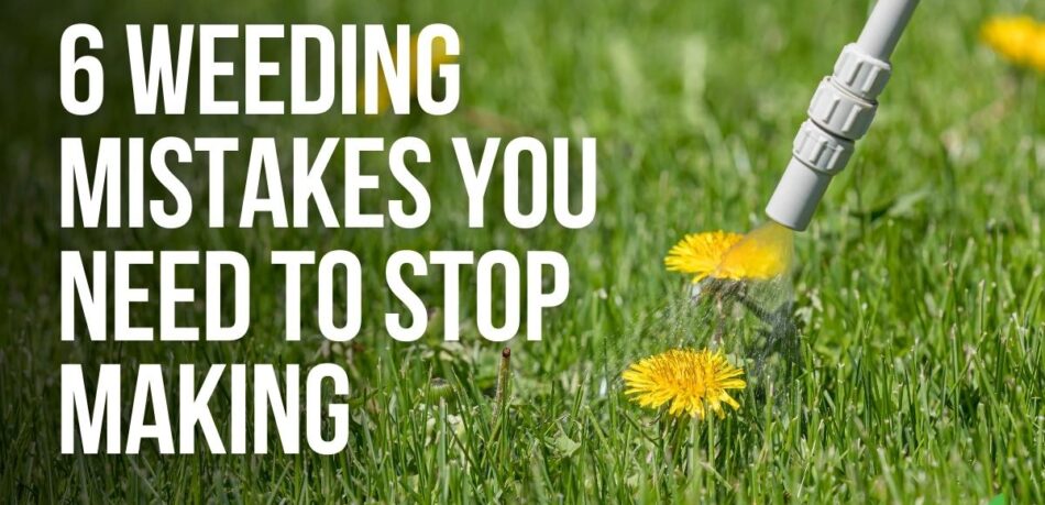 6 Weeding Mistakes You Need To Stop Making