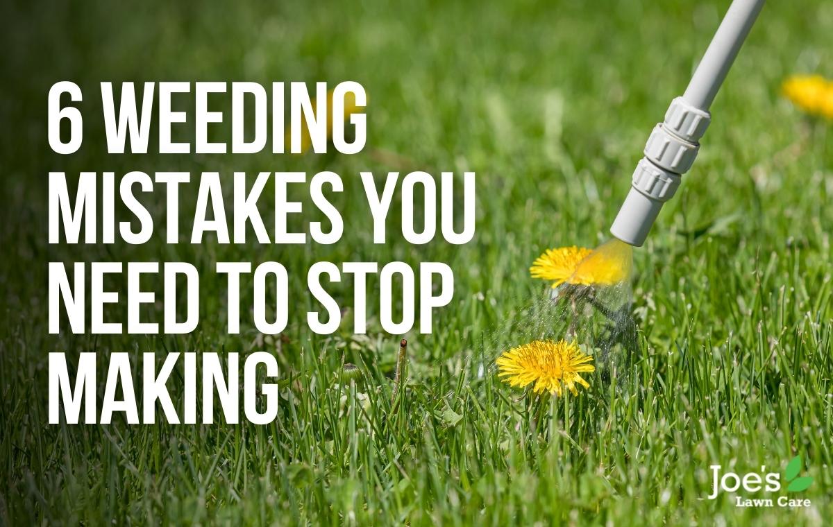 6 Weeding Mistakes You Need To Stop Making