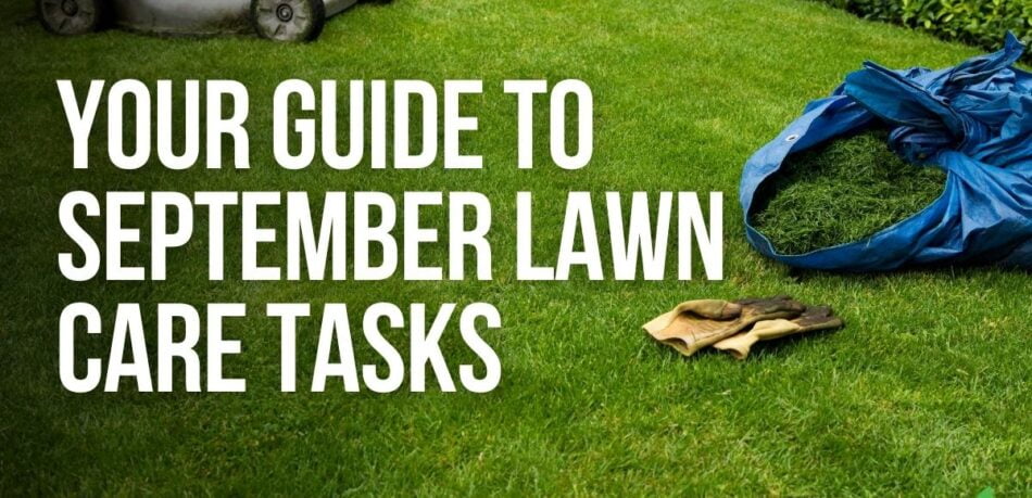 Your Guide To September Lawn Care Tasks