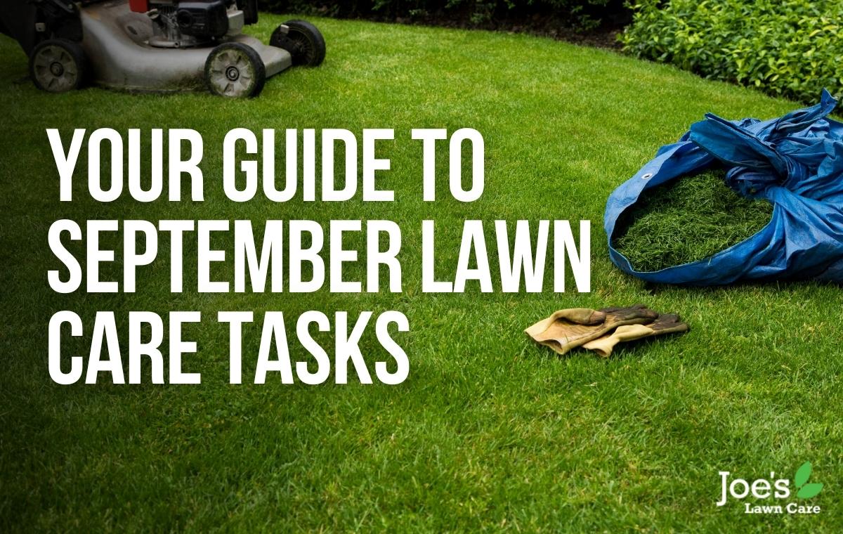 Your Guide To September Lawn Care Tasks