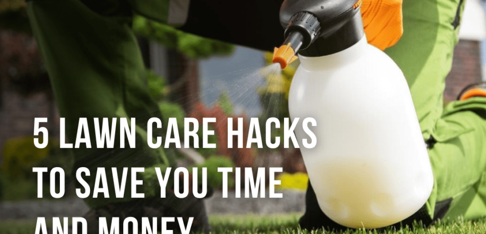 6 lawn care hacks to save you time and money