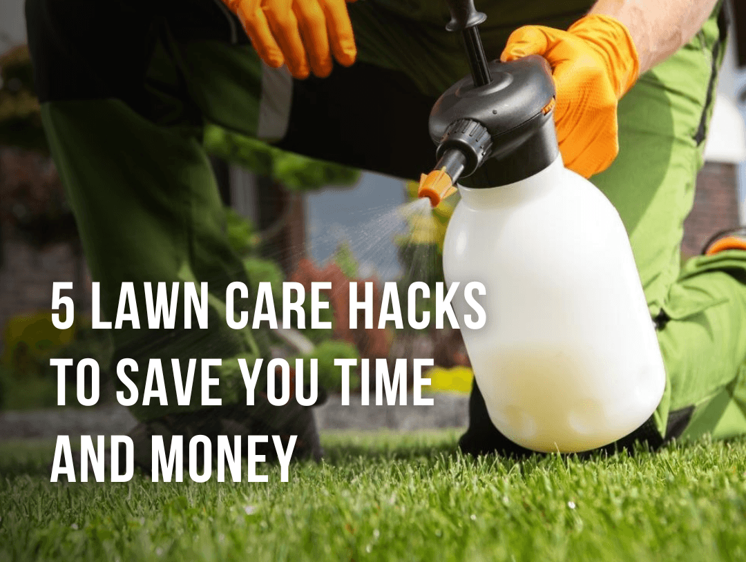 6 lawn care hacks to save you time and money