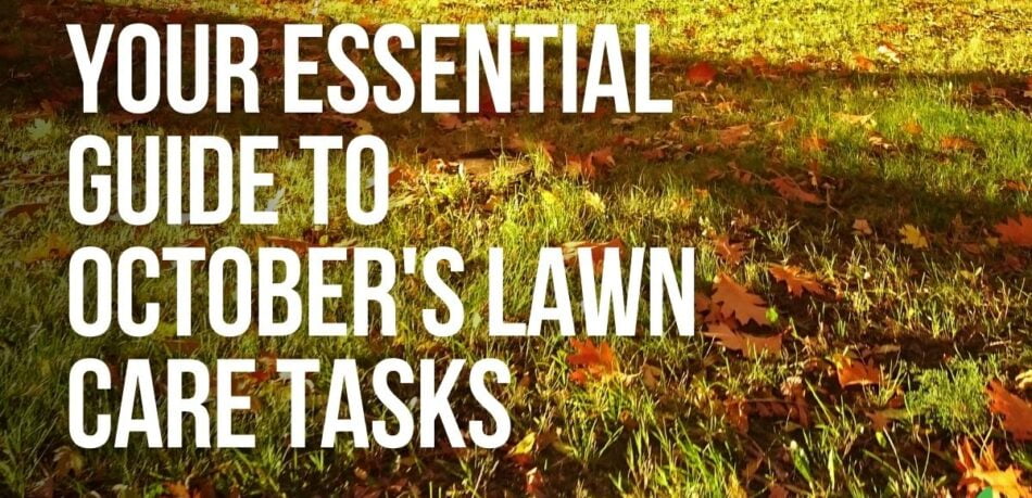 Your Essential Guide To October's Lawn Care Tasks