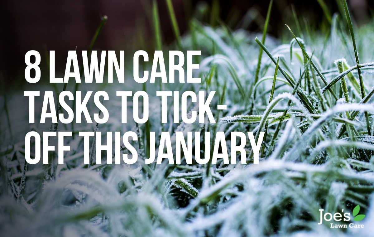 8 Lawn Care Tasks To Tick Off This January