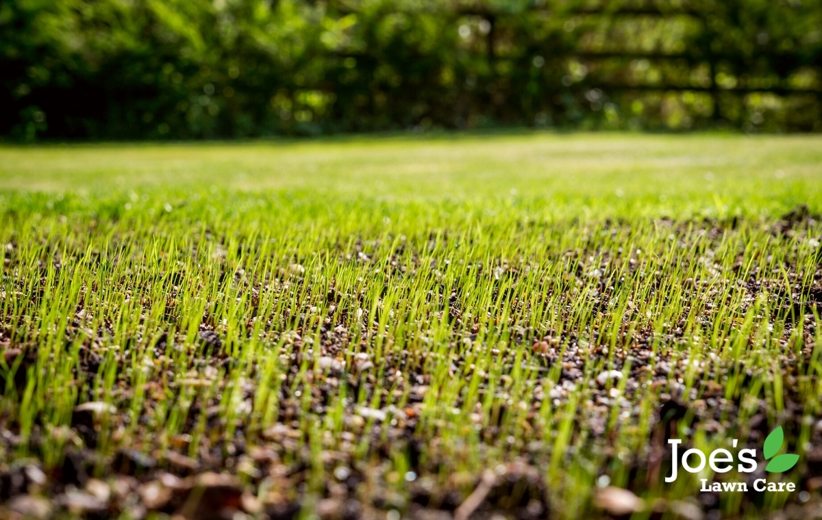 The Best Times To Reseed Your Lawn - Joe's Lawn Care