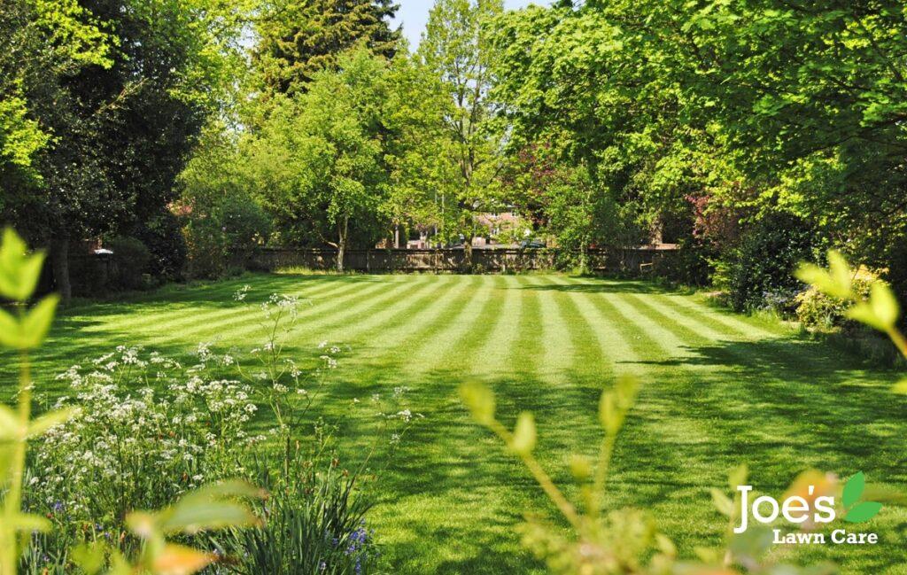 These 7 things Will Make You Better At Lawn Care -Joeslawncare -blog