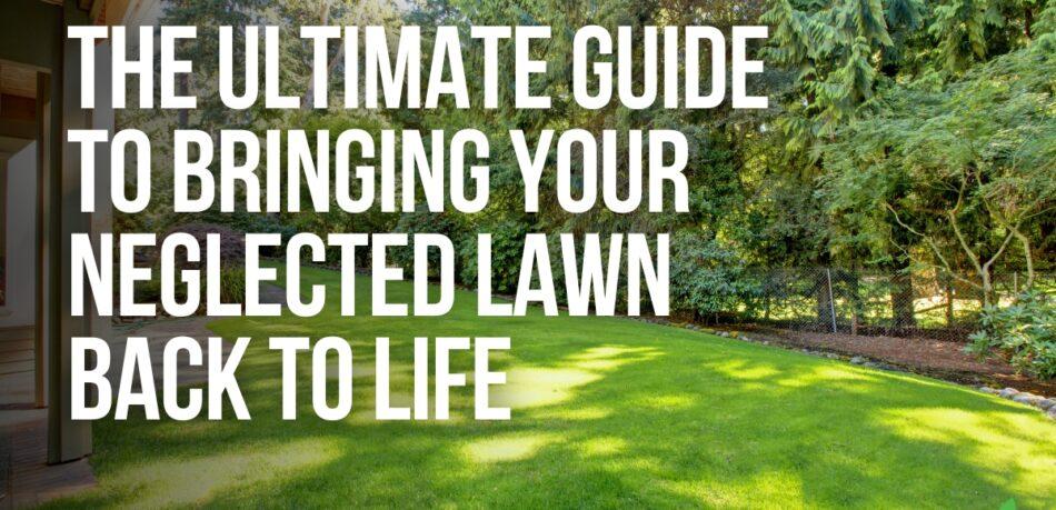 Beautiful green lawn that reads The-Ultimate-Guide-To-Bringing-Your-Neglected-Lawn-Back-To-Life-JoesLawnCare-blog