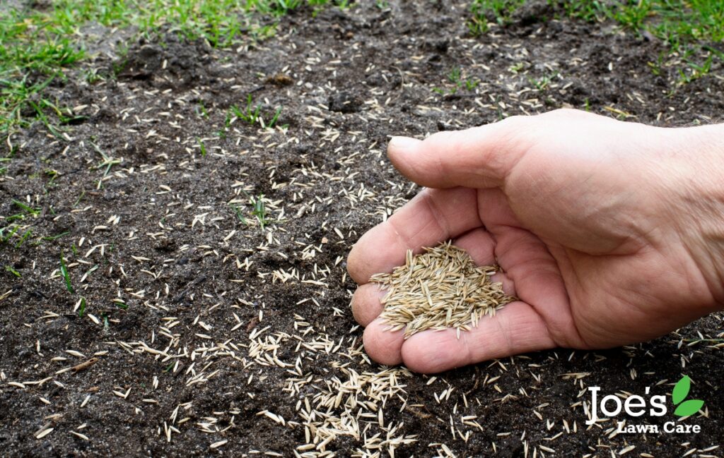 How To Prepare Your Soil Before Applying Grass Seed Joe's Lawn Care