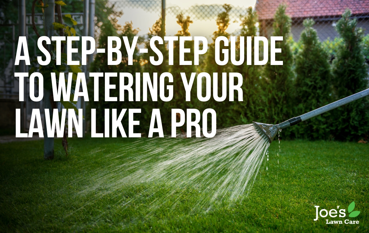 A Step By Step Guide To Watering Your Lawn Like A Pro - Joes Lawn Care Blog