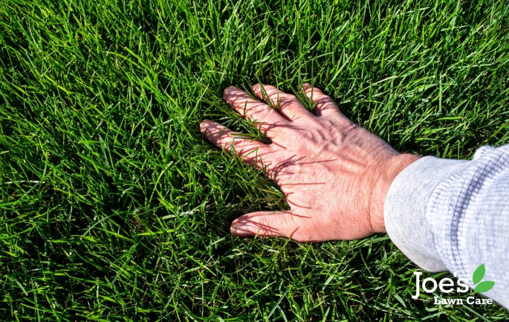 A Step By Step Guide To Watering Your Lawn Like A Pro - Joes Lawn Care Blog