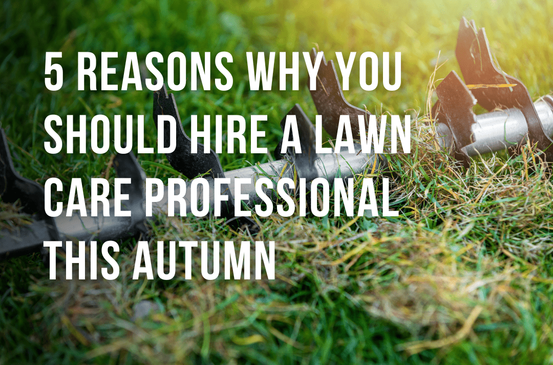 5 Reasons Why You Should Hire A Lawn Care Professional This Autumn - Joe's Diary - Joe's Lawn Care