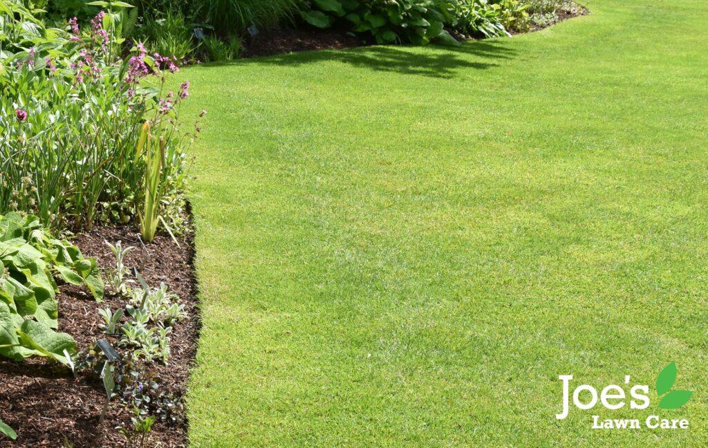 art of lawn edging, tips, tricks and tools