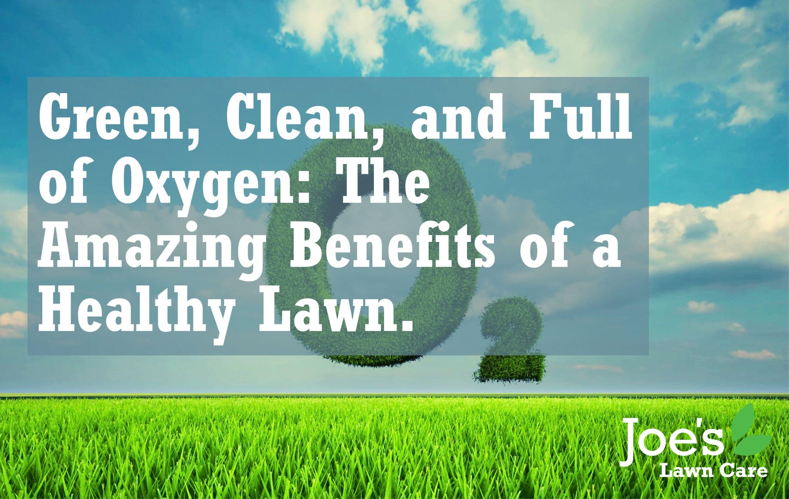 blog title: Green, Clean, and Full of Oxygen: The Amazing Benefits of a Healthy Lawn.