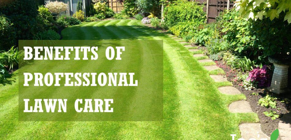 BENEFITS OF PROFESSIONAL LAWN CARE