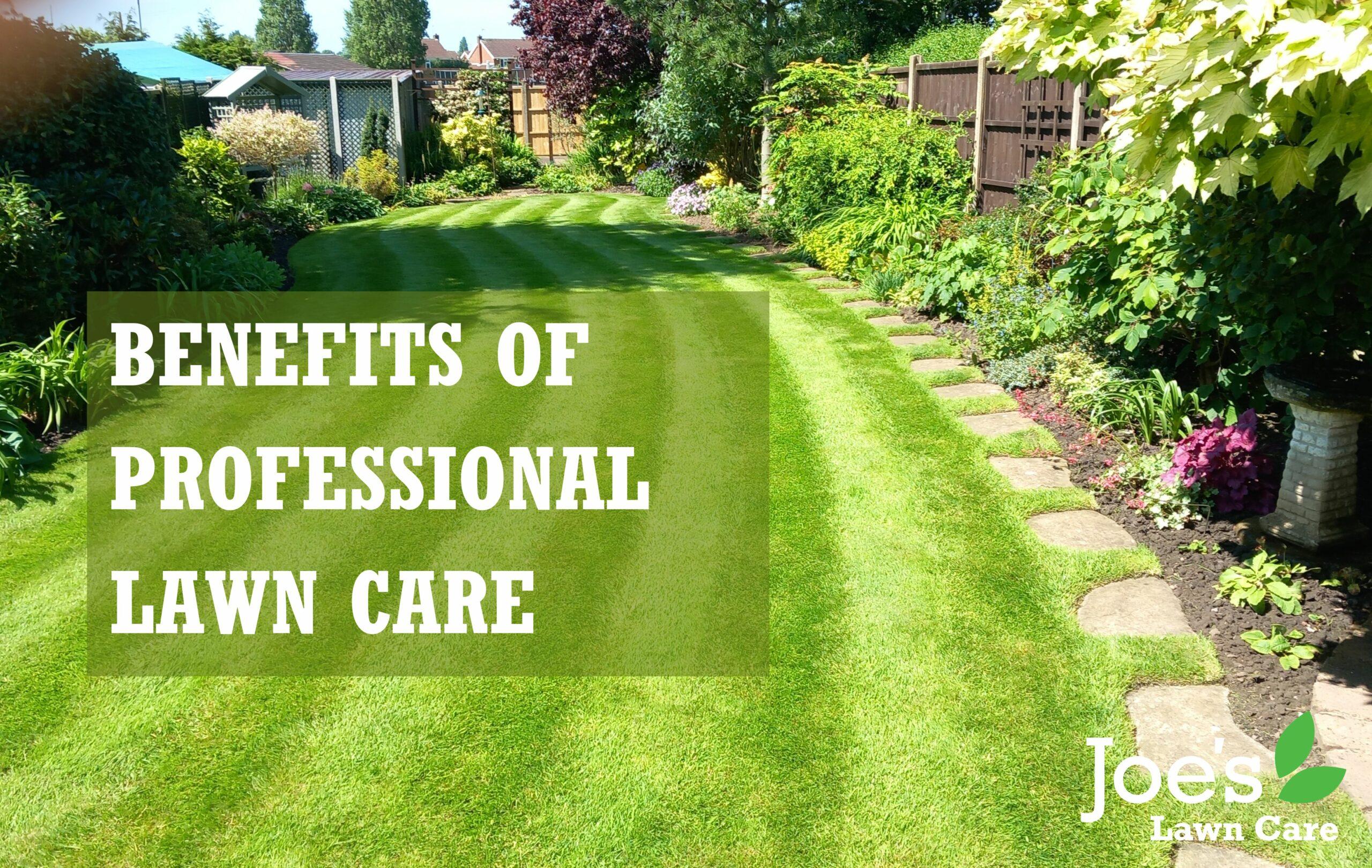 BENEFITS OF PROFESSIONAL LAWN CARE