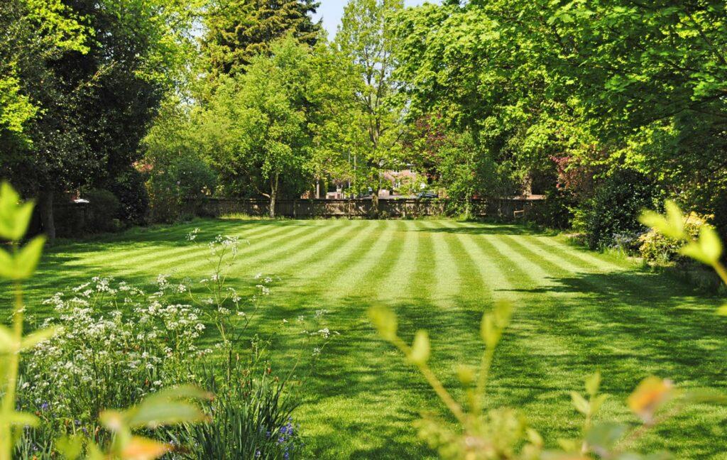 Benefits of Professional Lawn Care - consistent lawn care