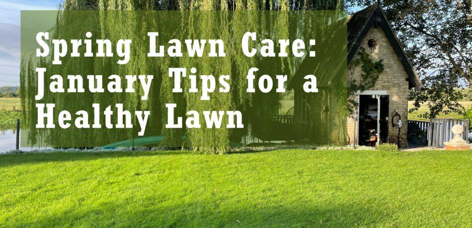 Spring Lawn Care: January Tips for a Healthy Lawn