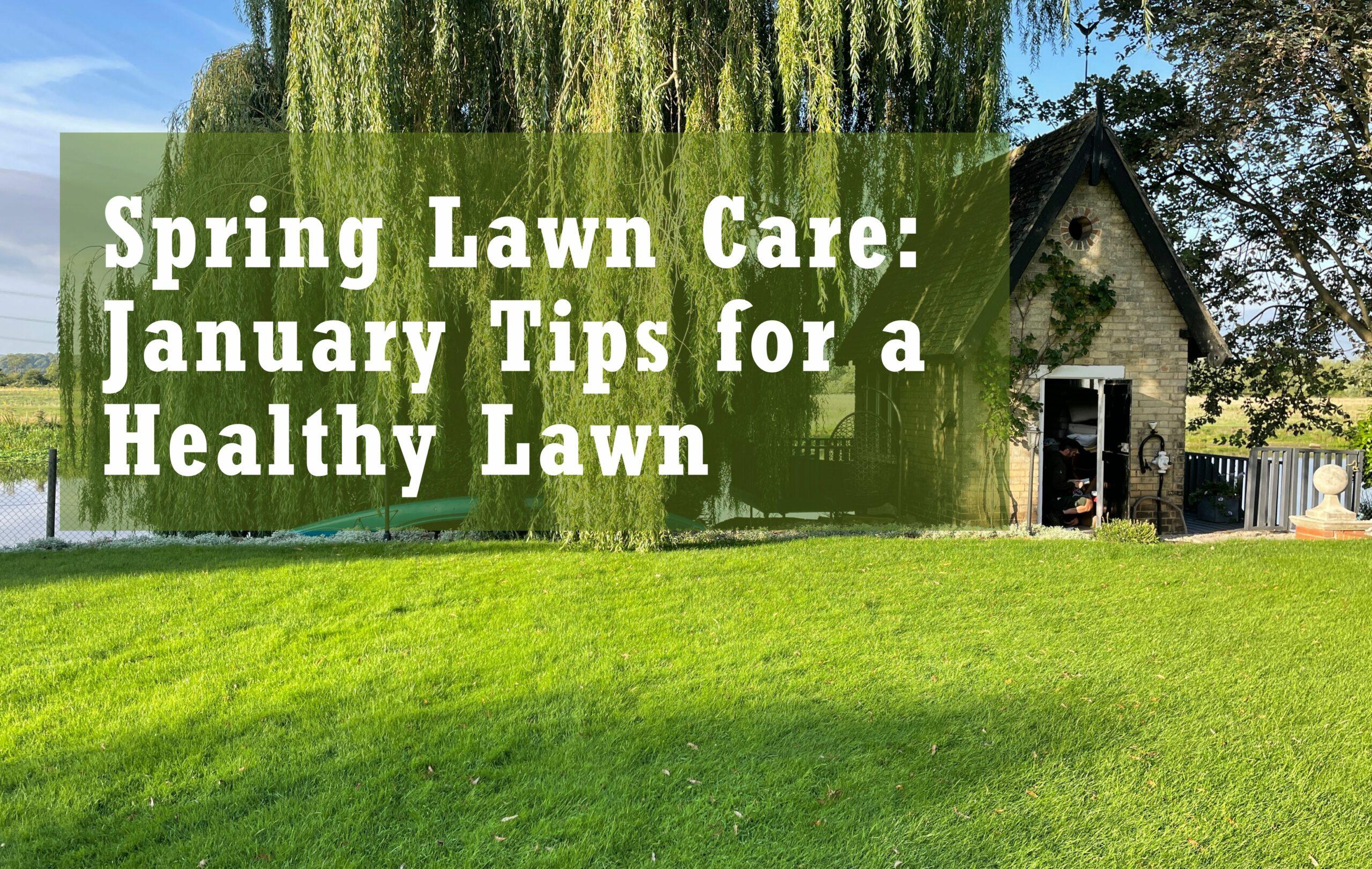 Spring Lawn Care: January Tips for a Healthy Lawn